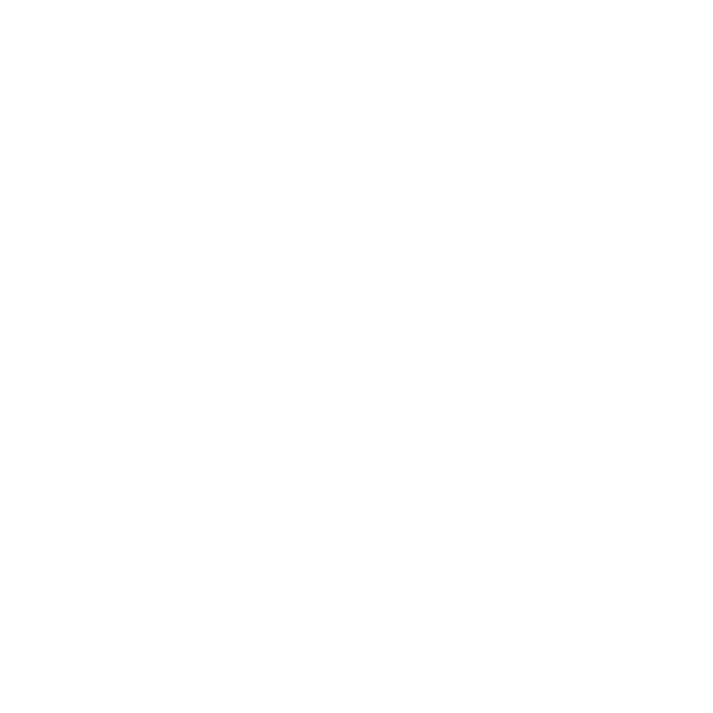 Car Brand 1