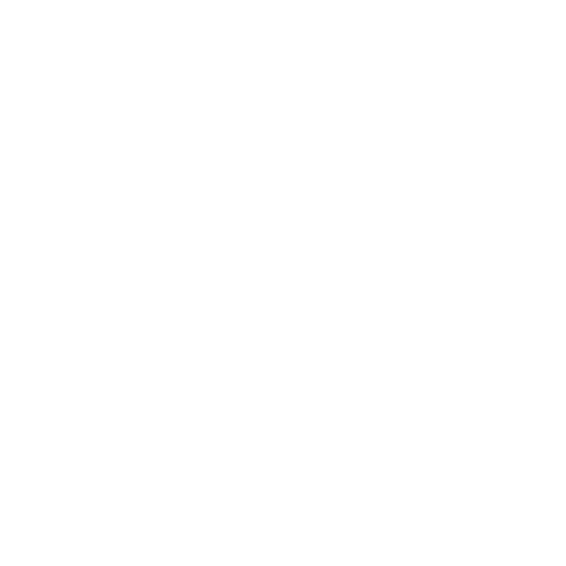 Car Brand 6